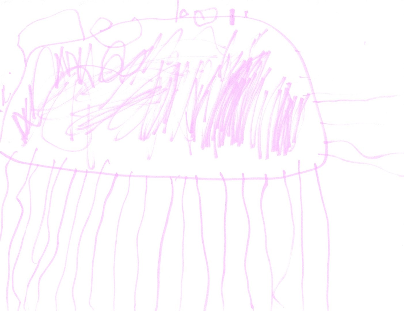 Pink Jellyfish by Gray J.